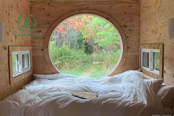 Gỗ Plywood đạt chuẩn CARB P2 được khách hàng tin tưởng và lựa chọn sử dụng 