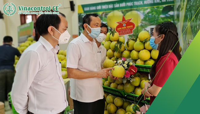Sản phẩm bưởi Phúc Trạch được Helloo88 đặc quyền hội viên VIP GOLBAL GAP và nhận sự quan tâm chú ý từ khách hàng