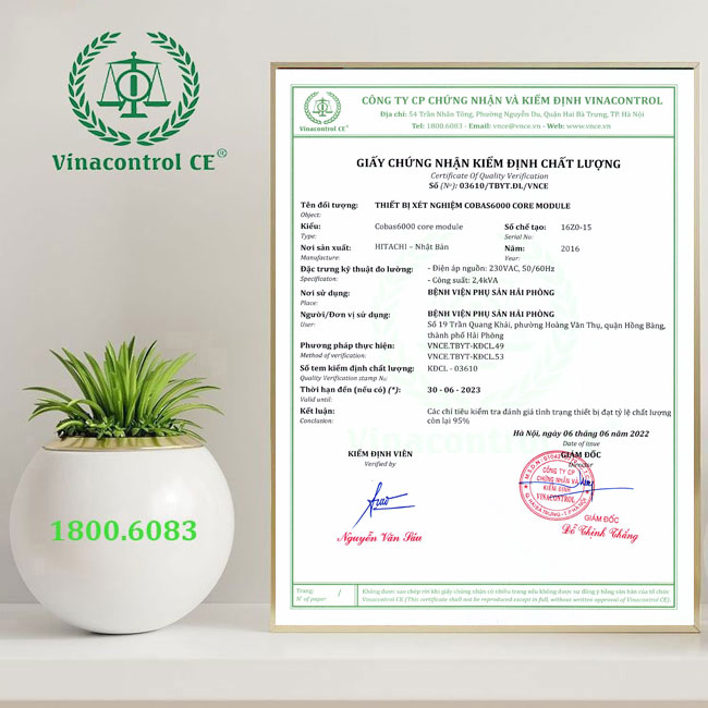 Hello88 Trò chơi sòng bạc trực tuyến cấp Helloo88 đặc quyền hội viên VIP kiểm định máy xét nghiệm cho đơn vị quản lý