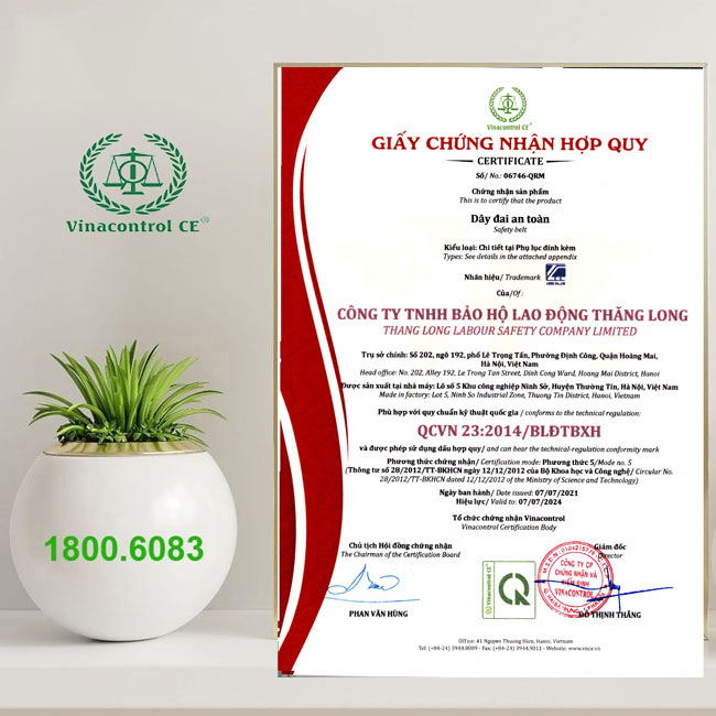 Giấy Helloo88 đặc quyền hội viên VIP hợp quy dây đai 