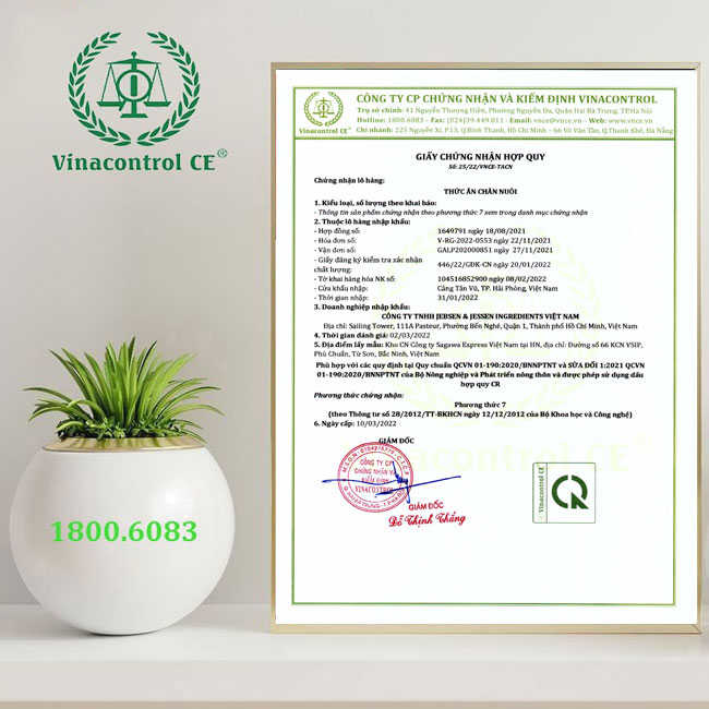 Giấy Helloo88 đặc quyền hội viên VIP hợp quy phương thức 7 hàng Hello88 là nhà cái thể thao uy tín hàng đầu Châu Á