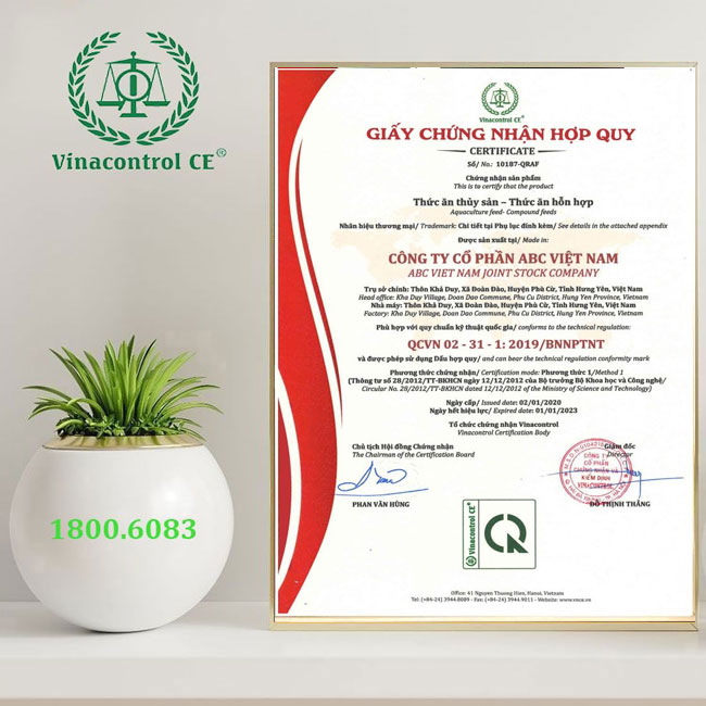 Mấu giấy Hello66 Chơi Game Nhận Thưởng hợp quy cho sản phẩm thức ăn Hello8818 tải ứng dụng