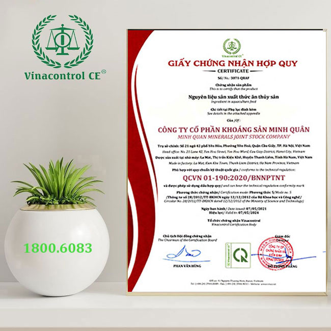 Giấy Helloo88 đặc quyền hội viên VIP thức ăn Hello8818 tải ứng dụng phù hợp với quy chuẩn quốc gia