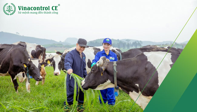 Kiểm soát chất lượng sản phẩm từ các bước nguyên liệu cho đến bước thành phẩm cuối cùng