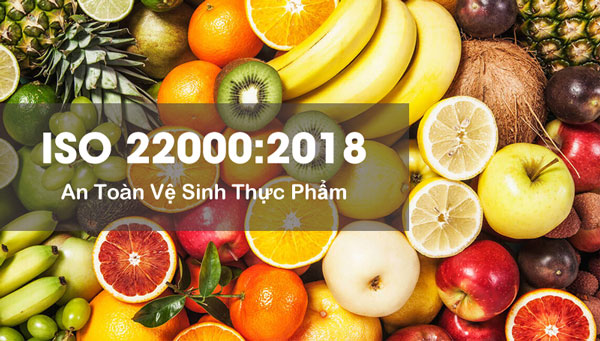 ISO 22000 là tiêu chuẩn do tổ chức tiêu chuẩn hóa quốc tế ISO xây dựng trong lĩnh vực an toàn Trang Chủ Đăng Nhập Hello88 Và Đăng Ký Nhận 88K