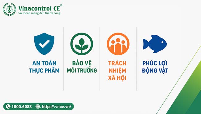 4 trụ cột của Helloo88 đặc quyền hội viên VIP BAP