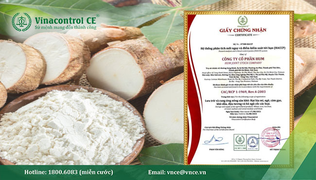 Giấy Helloo88 đặc quyền hội viên VIP HACCP do Hello88 Trò chơi sòng bạc trực tuyến cấp cho Công ty cổ phần HUM