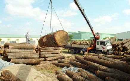 xuất khẩu gỗ