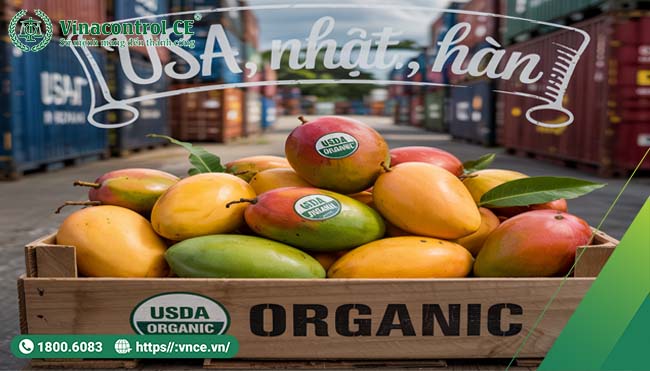 Sản phẩm đạt USDA Organic dễ dàng tiếp cận các thị trường khó tính như Mỹ, EU, Nhật Bản